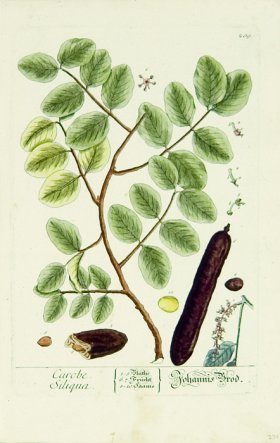 Blackwell German 026