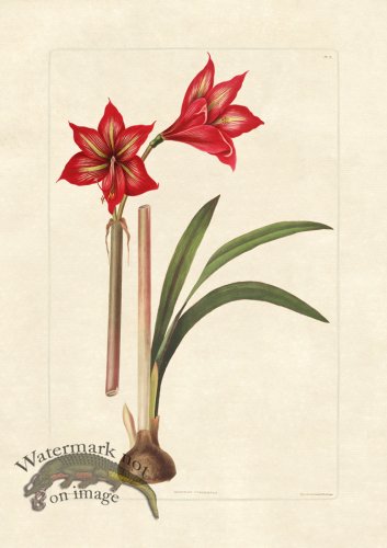 (image for) Edward bury 9