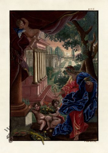 (image for) Volckamer 099