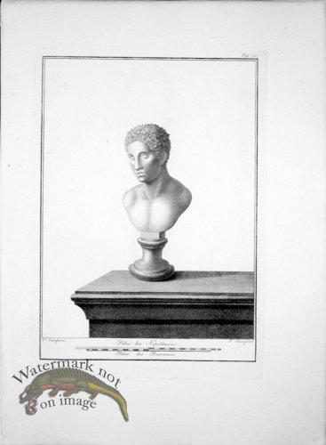 (image for) Ercolano Bust 07