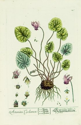 Blackwell German 189