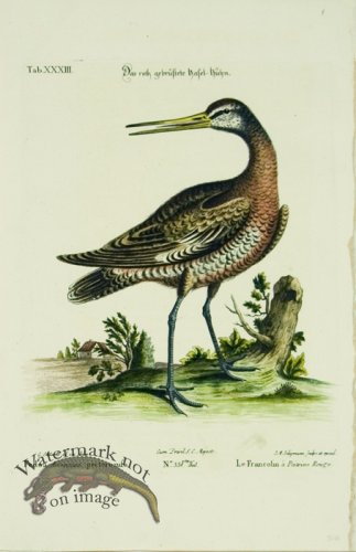 (image for) Seligmann WB 04