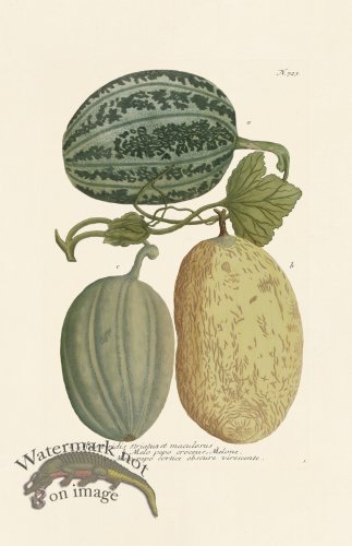 (image for) Weinmann PL 723