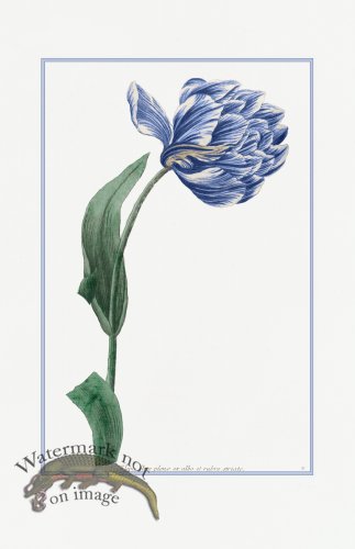 (image for) Blue Weinmann S 12