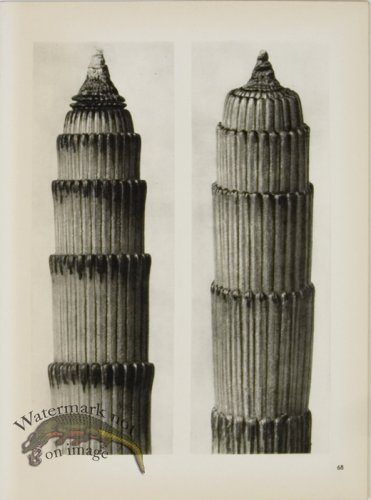 (image for) Blossfeldt T 068