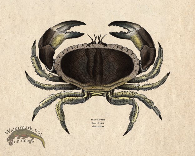 (image for) Sand_Soldier_11