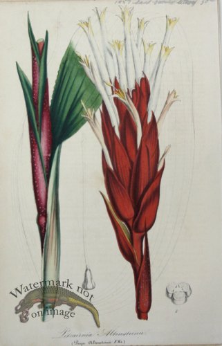 (image for) Houtteano_Bot_040