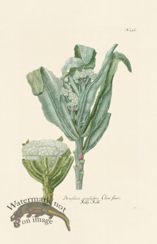 (image for) Weinmann PL 256