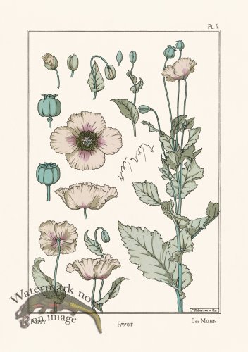 (image for) Le Plante 04