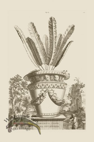 (image for) Abraham Munting 083