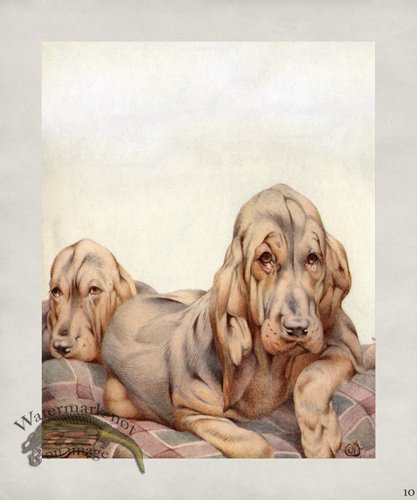 (image for) Puppy Dog 10