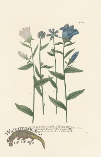 (image for) Weinmann PL 288