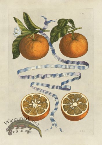 (image for) Ferrari 377