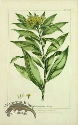 (image for) Philip Miller 015