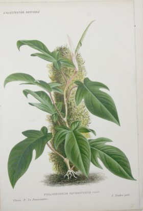 (image for) Horticult LP 06