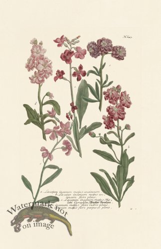 (image for) Weinmann PL 643