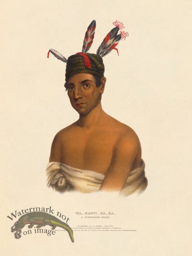 (image for) Wa-kawn-ha-ka Winnebago