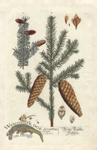 (image for) Blackwell GE 198