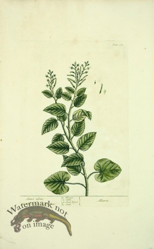 (image for) Blackwell E 52