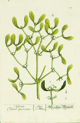 Blackwell German 131