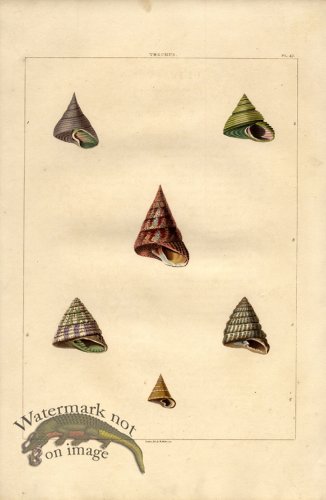 (image for) Perry pl 47