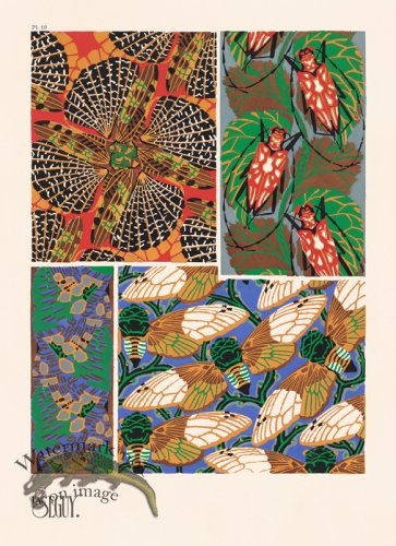 (image for) Seguy Bug 19