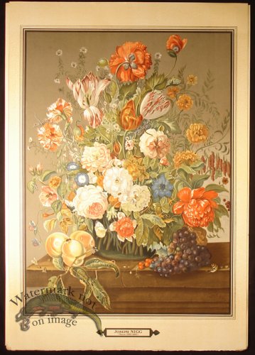 (image for) Botanical 04