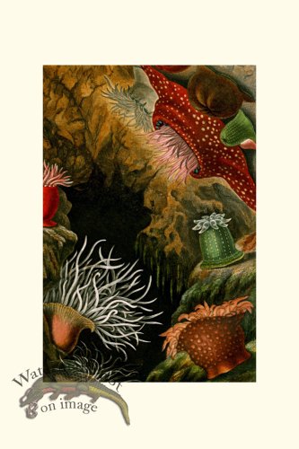 (image for) Underwater 23