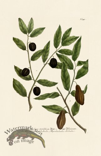 (image for) Weinmann PL 741