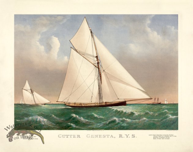 (image for) 13 Cutter_Genesta