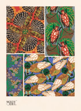 (image for) Seguy Bug 19