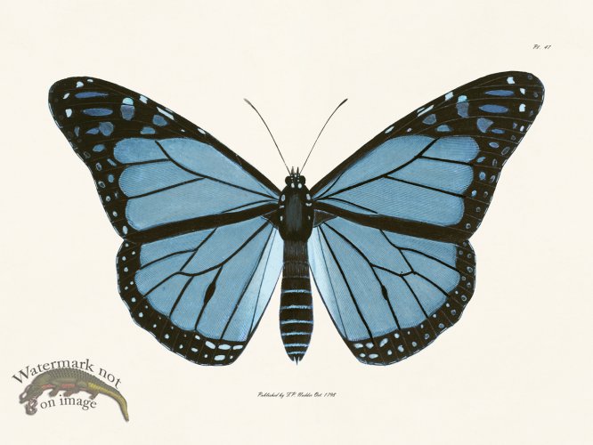 (image for) Nodder BF 47