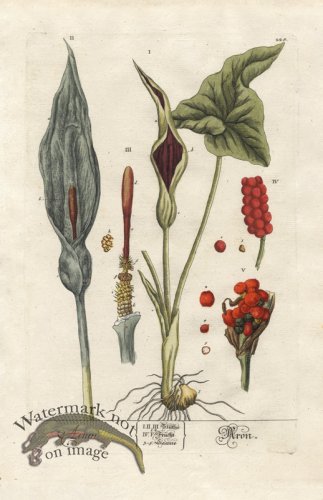 (image for) Blackwell GE 228