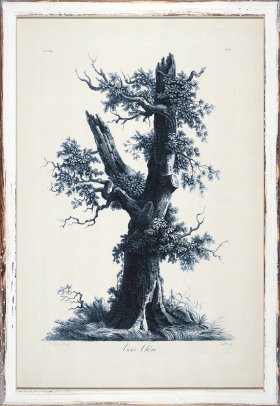 Blue Trees in Distressed White 07