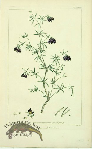 (image for) Philip Miller 100