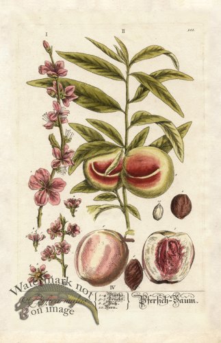 (image for) Blackwell GE 101