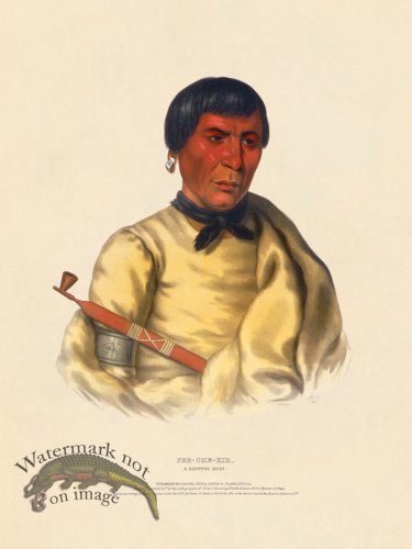 (image for) Pee-che-kir Chippewa