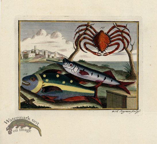 (image for) Valentijn 01