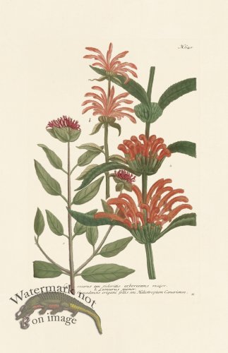 (image for) Weinmann PL 640