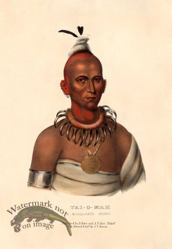 (image for) Tai-o-mah