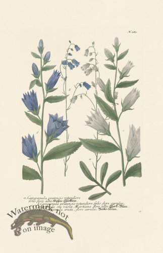 (image for) Weinmann PL 287