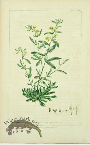 (image for) Philip Miller 103