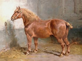 Suffolk Horse by Eerelman