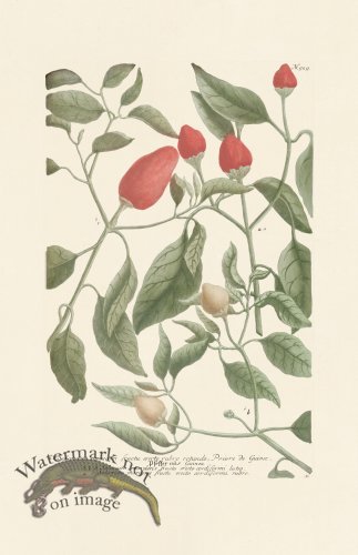 (image for) Weinmann PL 929