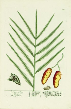 Blackwell German 194