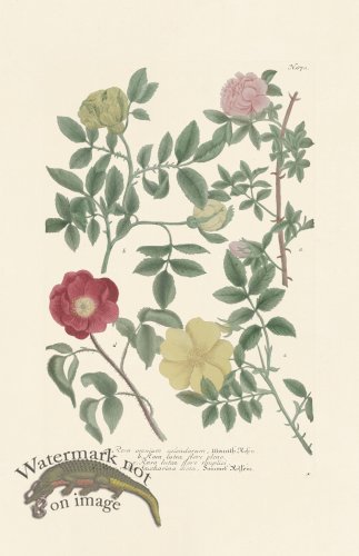 (image for) Weinmann PL 870