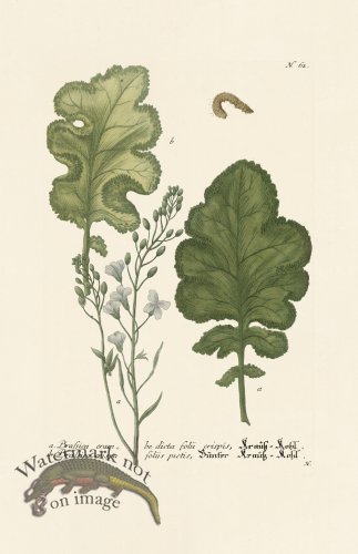 (image for) Weinmann PL 062