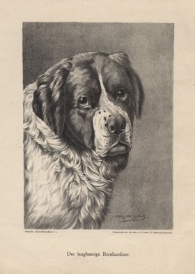 1890s Dogs 41