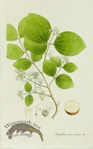 (image for) 1828_Gmp 034