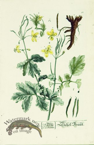 (image for) Blackwell German 160